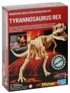 Wykopaliska Tyranozaurus Rex - dino szkielet