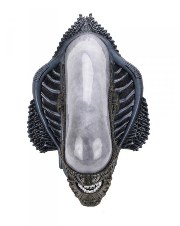 Alien Trophy Plaque Xenomorph (pianka gumowa/lateks) 78 cm