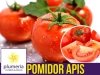 Pomidor gruntowy Apis F1 (Lycopersicon Esculentum)