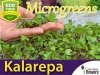 Microgreens - Kalarepa fioletowa 4g