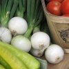 Jak zbierać nasiona cebuli
