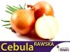 Cebula Rawska (Allium cempa) 5g