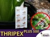 thripex plus 500 drapieżny roztocz na szkodniki, saszetki
