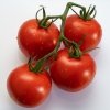 gdzie kupić ekologiczne nasiona pomidorów 