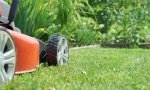 Zero waste w ogrodzie, czyli jak wykorzystać skoszona trawę