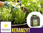 Keramzyt - drenaż, podłoże do roślin 8-16mm 5L 