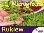 Microgreens - Rukiew wodna 2g