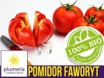 BIO Pomidor gruntowy wysoki FAWORYT nasiona ekologiczne 0,2g