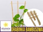 Drabinka Bambusowa - podpora do roślin 120 cm - 1 szt.