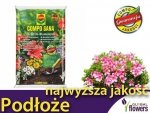 Podłoże najwyższej jakości COMPO SANA 5L