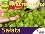 Microgreens - Sałata zielona 1,5g