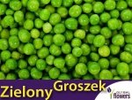 Groch Łuskowy - zielony groszek- Sześciotygodniowy (Pisum sativum) nasiona 40g