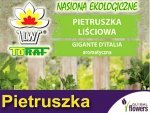 BIO Pietruszka liściowa GIGANTE D'ITALIA nasiona ekologiczne 2g