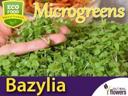 Microgreens - Bazylia Sweet Large 3g