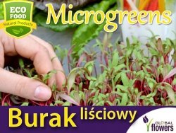 Microgreens - Burak liściowy czerwonolistny 10g