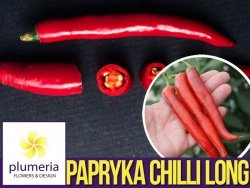 Papryka ostra GIANT LONG RED CHILLI (Capsicum annuum) nasiona