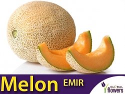Melon Emir (Cucumis melo) nasiona 1g