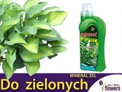 Agrecol Nawóz Mineral Żel do roślin zielonych 1l