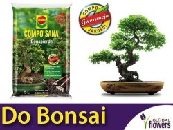 Podłoże do bonsai COMPO 5L