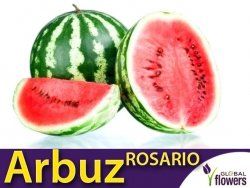 Arbuz Rosario Kawon (Citrullus vulgaris) nasiona 1g
