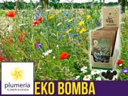 Eko Bomba Ogrodnika - Kule kwietne z biohumusu (mieszanka kwiatów polnych i ziół) 8 szt.