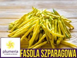 Fasola szparagowa ZŁOTA SAXA karłowa żółtostrąkowa (Phaseolus vulgaris) nasiona 50g