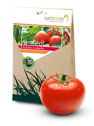 jak stosować mikoryze do pomidorów