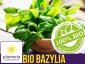BIO Bazylia właściwa zielona ITALIANO CLASSICO nasiona ekologiczne 0,5g 