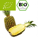 Ekologiczny Bio świeży Ananas 1 sztuka