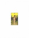Cartamundi Karty Tarot A E Waite Pocket Tarot Blue
