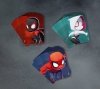Portal Games Gra Marvel United: Enter the Spider-Verse (polska edycja)