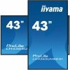 IIYAMA Monitor 43 cale LH4365UHSB-B1 24/7, IPS, ANDROID 11, 4K, 800cd, iiSignage2, SDM, 2x HDMI, DP, 2x USB,2x 10W, RJ45, WiFi, 