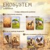 Nasza księgarnia Gra Ekosystem 3 - Sawanna