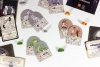 Portal Games Gra Septima: Zmiennokształtność i Omeny
