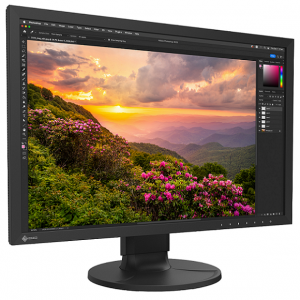 EIZO ColorEdge CS2400S - monitor 24, 1920 x 1200, WUXGA, AdobeRGB 99%, kalibracja sprzętowa