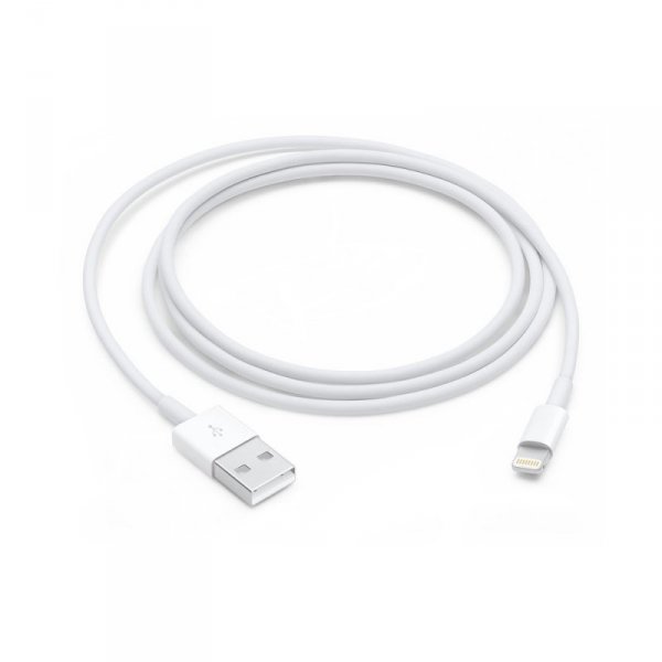 Apple Lightning to USB Cable (1m)