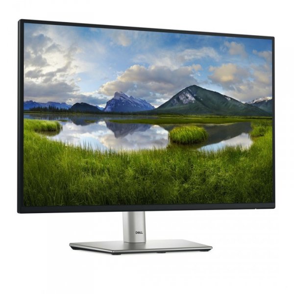 MONITOR DELL LED 24&quot; P2425