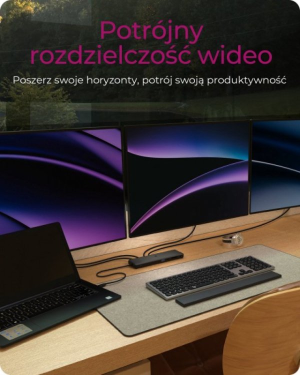IcyBox Stacja dokująca IB-DK2116-C 12in1,HDMI,DP,LAN,USB