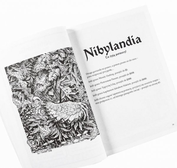Muduko Gra Książkowa: Nibylandia. Tu żyją potwory!