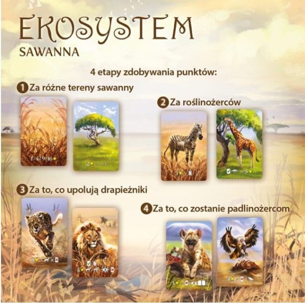 Nasza księgarnia Gra Ekosystem 3 - Sawanna