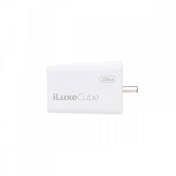 Patriot iLuxe Cube C 256GB USB 3.2 Gen 1 Type C