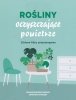 Rośliny oczyszczające powietrze