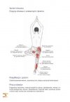 Joga Nowy ilustrowany przewodnik anatomiczny po asanach, ruchach i technikach oddychania