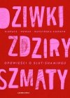 Dziwki, zdziry, szmaty. Opowieści o slut-shamingu