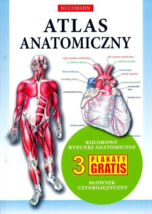 Atlas anatomiczny