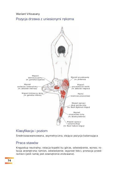 Joga Nowy ilustrowany przewodnik anatomiczny po asanach, ruchach i technikach oddychania
