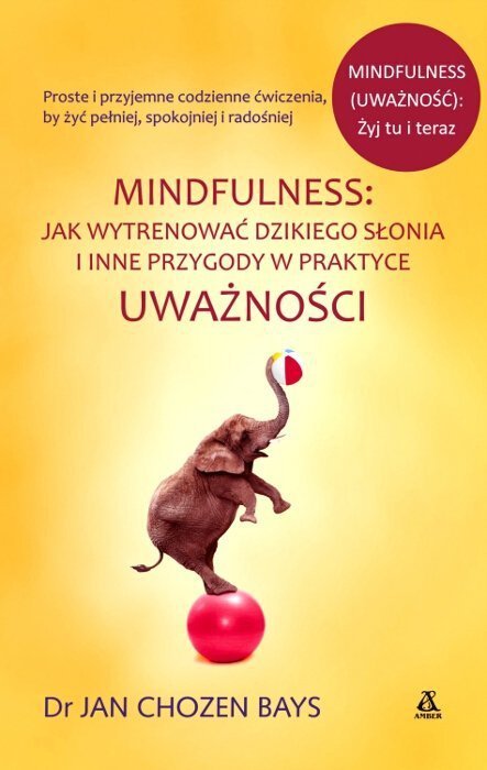 Mindfulness Jak wytrenować dzikiego słonia i inne przygody w praktyce uważności