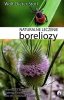 Naturalne leczenie boreliozy 