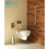 WC-Klappgriff für barrierefreies Bad mit Toilettenpapierhalter aus rostfreiem Edelstahl 75 cm ⌀ 32 mit Abdeckplatten