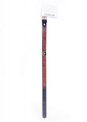 Fetish B - Series Collar with crystals 2 cm Red Line